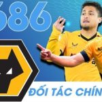 6686 - Sân chơi cá cược đẳng cấp dành cho các tân thủ