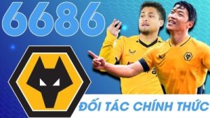 6686 – Sân chơi cá cược đẳng cấp dành cho các tân thủ