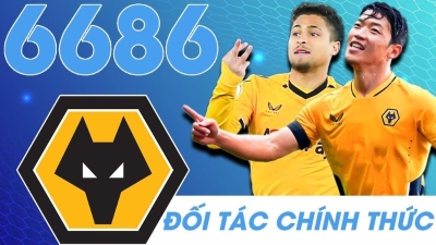 6686 – Sân chơi cá cược đẳng cấp dành cho các tân thủ