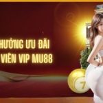 Xì Dách - Hướng Dẫn Chơi An Toàn, Chiến Thuật Chơi Hiệu Quả