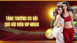 Xì Dách – Hướng Dẫn Chơi An Toàn, Chiến Thuật Chơi Hiệu Quả