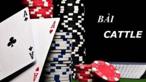 Hướng dẫn chơi catte chi tiết cho người mới bắt đầu