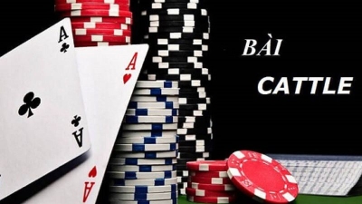 Hướng dẫn chơi catte chi tiết cho người mới bắt đầu