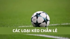 Kèo chẵn lẻ – Chiến thuật đánh chẵn lẻ ăn tiền cực dễ từ nhà cái