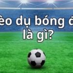 Hướng dẫn nhận biết kèo dụ chuẩn xác nhất năm 2024