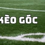 Kèo phạt góc trong cá cược bóng đá - Tìm hiểu chi tiết