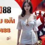 Khuyến mãi M88 - tặng thưởng 100% giá trị thẻ nạp, trải nghiệm cực chất
